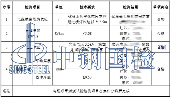 成束燃燒試驗檢測項目結果